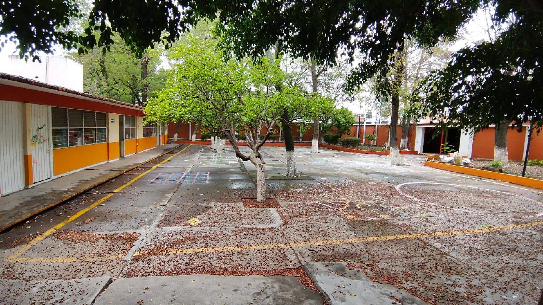 Patio de escuela vacio